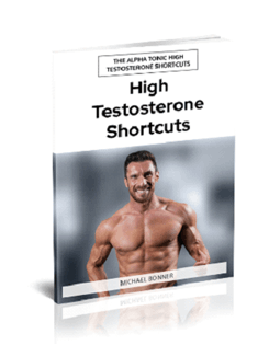 alphatonic - testo shortcut 245x315